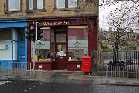 animac