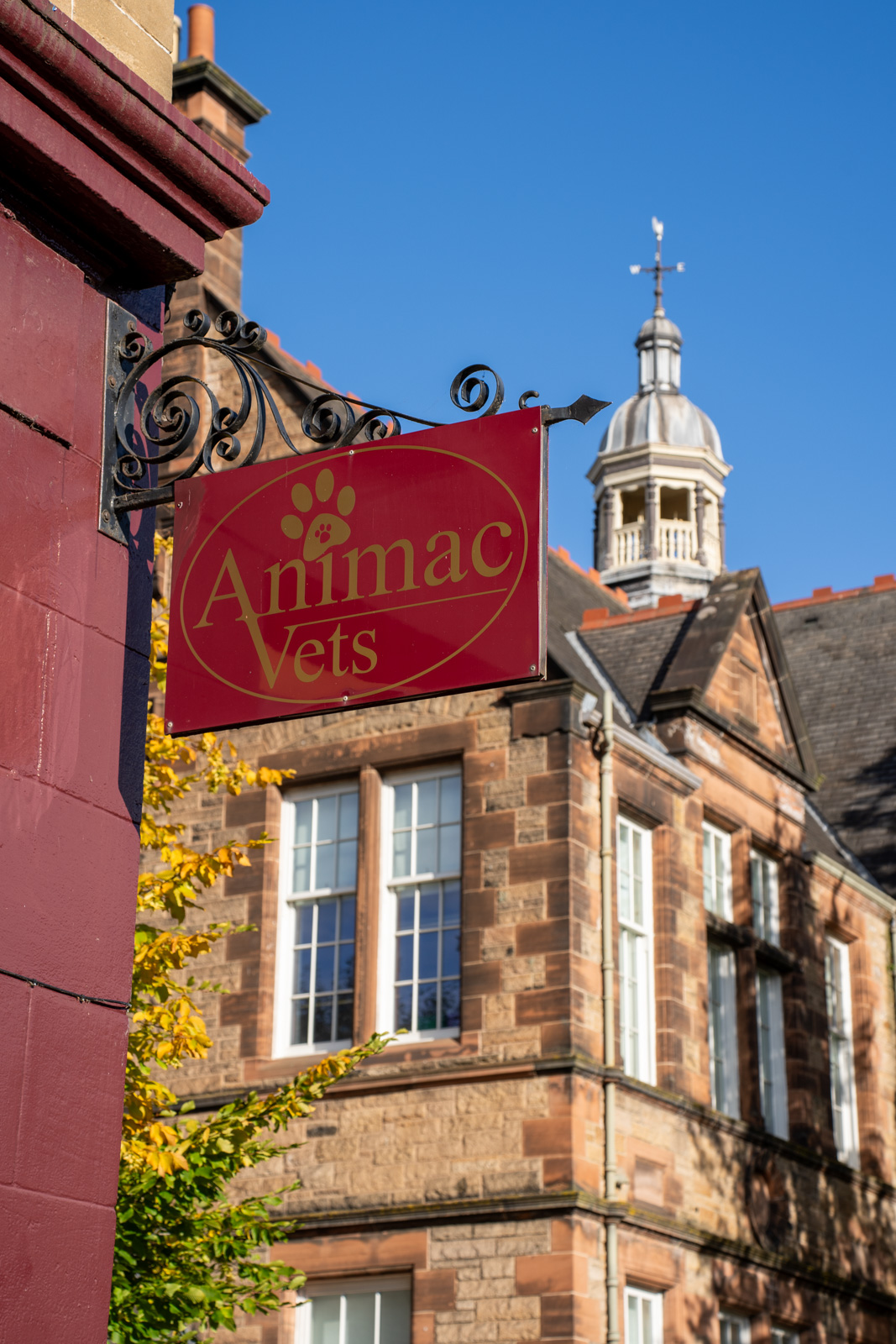 Animac Vets (Web) 014
